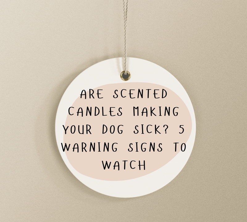 Are Scented Candles Making Your Dog Sick? 5 Warning Signs to Watch