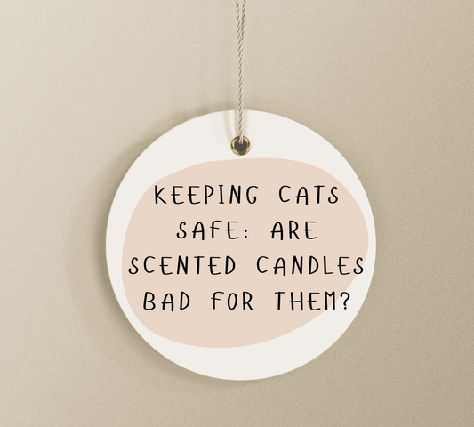 Keeping Cats Safe: Are Scented Candles Bad for Them?