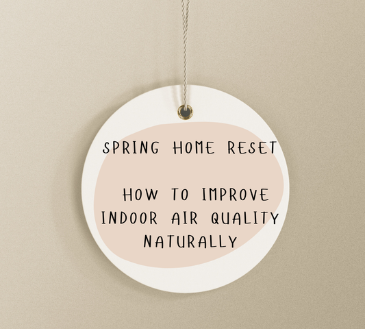 Spring Home Reset: How to Improve Indoor Air Quality Naturally