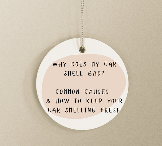 Why Does My Car Smell Bad? Common Causes and How to Keep Your Car Smelling Fresh