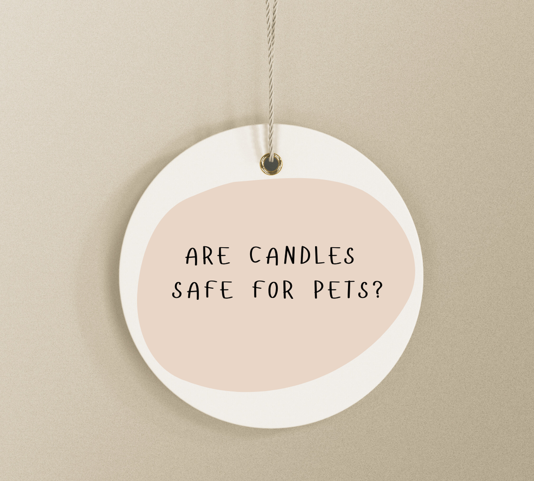 Are Candles Safe for Pets? What Dog and Cat Owners Should Know