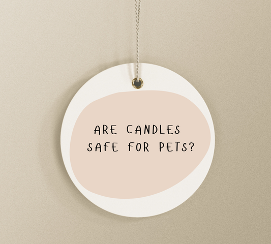 Are Candles Safe for Pets? What Dog and Cat Owners Should Know