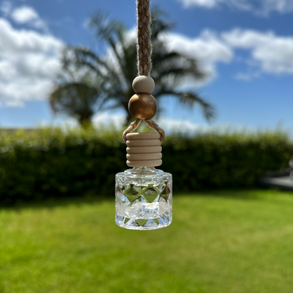 Cranberry, Apple, Spice Car Diffuser