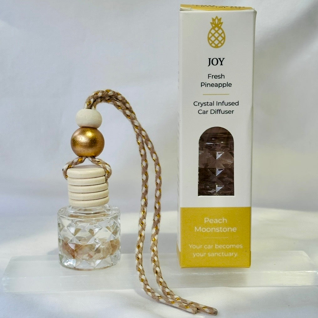 JOY: Fresh Pineapple Car Diffuser