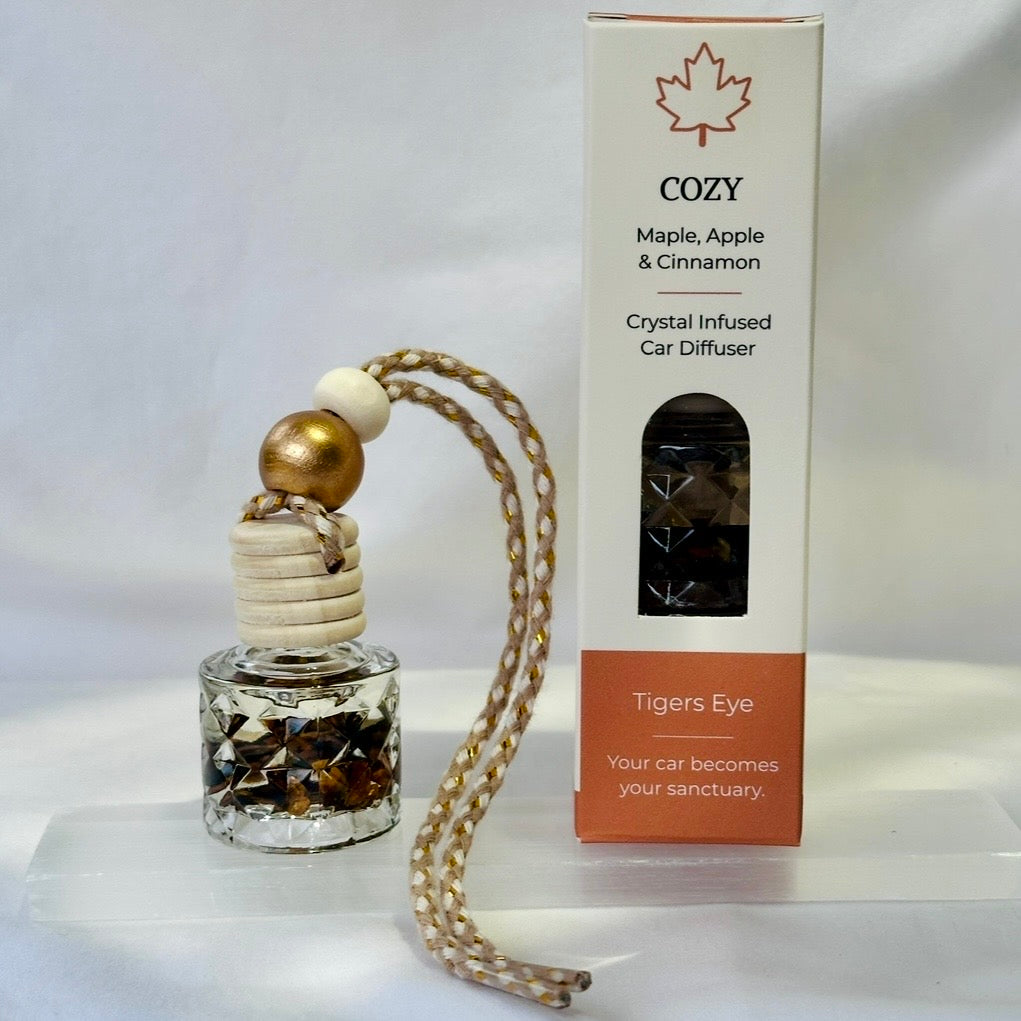 COZY: Maple, Apple & Cinnamon Car Diffuser