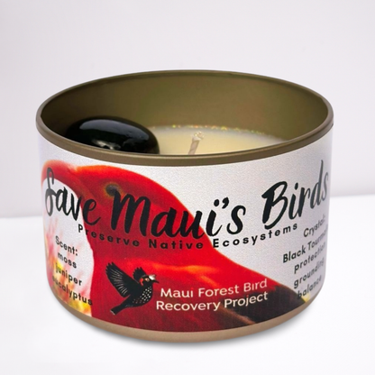 Save Maui's Birds