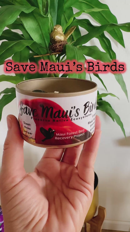 Save Maui's Birds